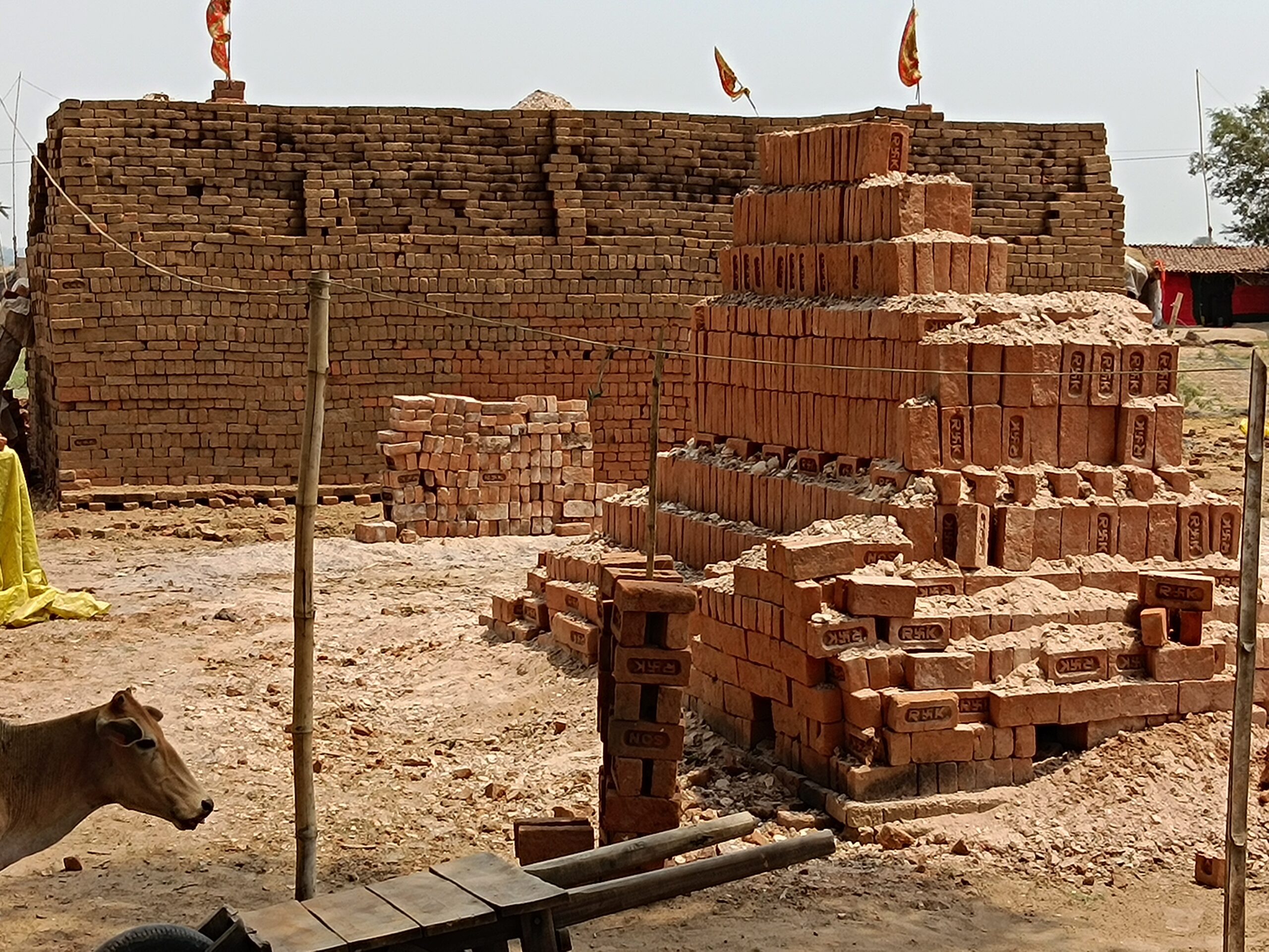 नवागढ़ धाराशिव में अवैध ईंट भट्ठों का संचालन व अवैध ईंट निर्माण चरम पर, प्रशासन की चुप्पी में फल फूल रहा अवैध ईंटों का कारोबार